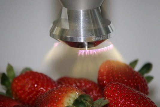 Plasma Agriculture